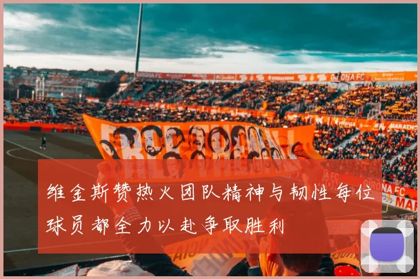 维金斯赞热火团队精神与韧性每位球员都全力以赴争取胜利